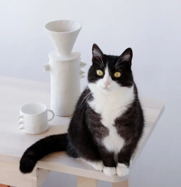 Porcelain lidded jar with smooth glaze