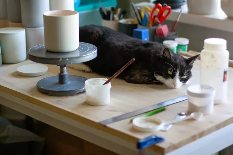 Hand-finished slip-cast porcelain jar with rounded form