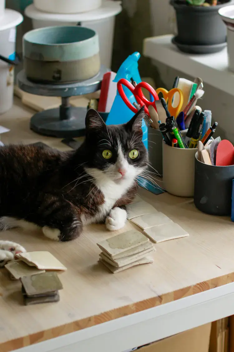 Trimmed ceramic forms showing clean footrings