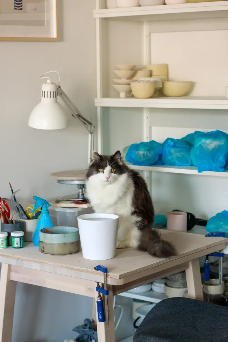 Delicate porcelain forms drying under soft studio light